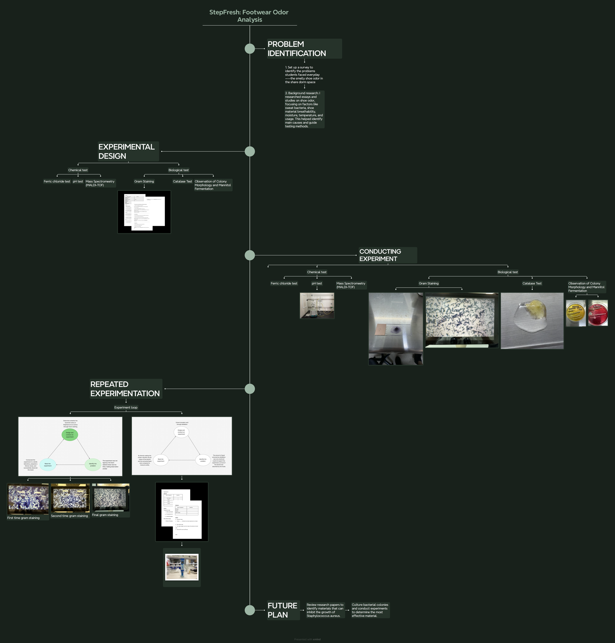 鞋垫气味形成的调查与控制