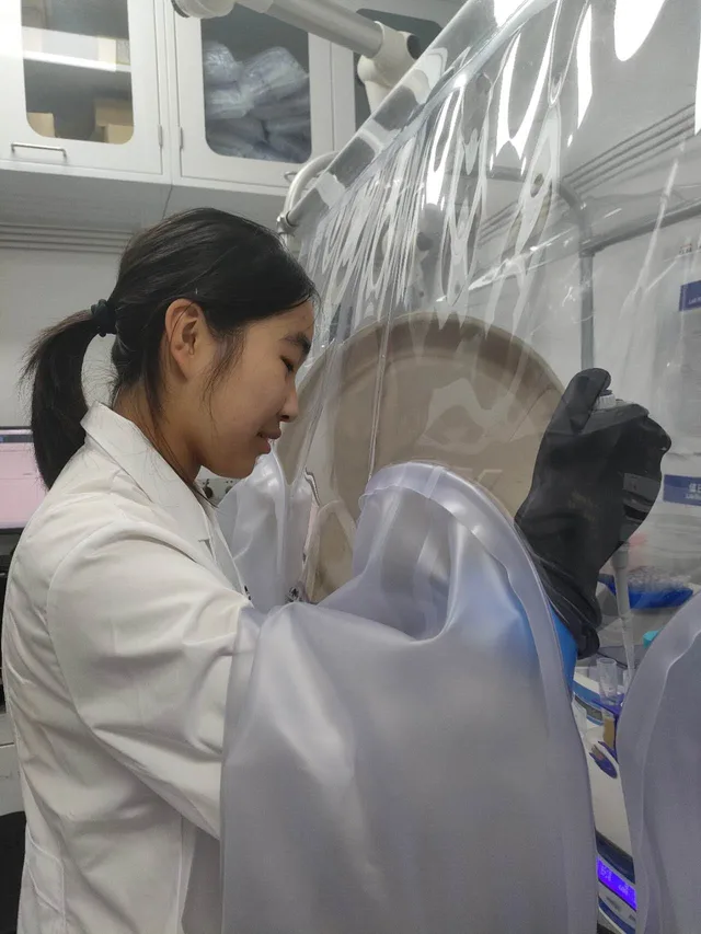 新型溶菌酶的筛选与工程化用于痤疮丙酸杆菌的靶向清除 图像 2